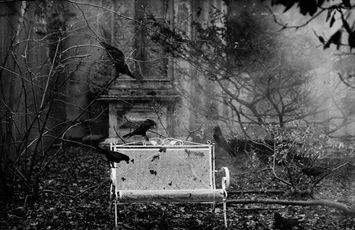 Файл:Obonyatelnaya intuiciya-Wiki-1.jpg