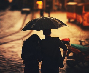 Poligamnost'-Wiki-3-monogamniye pary.jpg